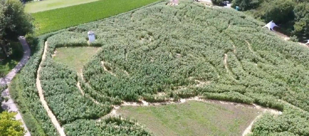 Έκαναν τον Λ. Βαν Μπετόβεν… χωράφι (βίντεο)