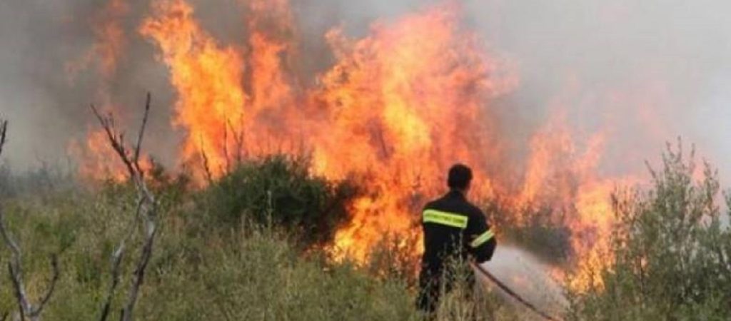 Φιγαλεία Ηλείας: Βρήκαν νεκρό άνδρα ενώ πήγαιναν να σβήσουν φωτιά (βίντεο)