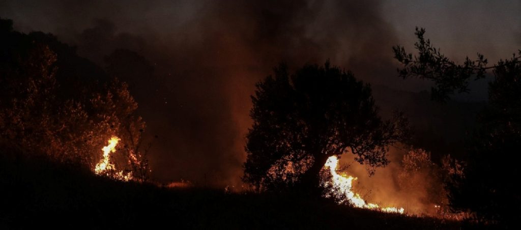 Κεφαλονιά: Ξέσπασε πυρκαγιά κοντά στην Αγία Ειρήνη (βίντεο)