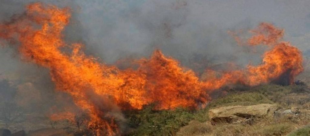 Φιγαλεία Ηλείας: Μία σύλληψη για εμπρησμό από αμέλεια