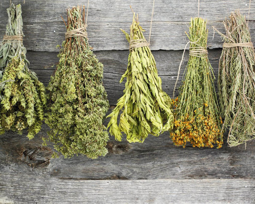 Θαυματουργό: Αυτό είναι το βότανο που ρίχνει την πίεση σε 15 λεπτά!