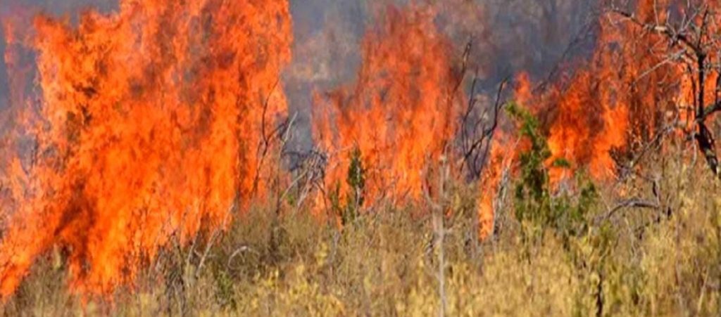 Οριοθετήθηκε η φωτιά στα Μέθανα Τροιζηνίας (upd)