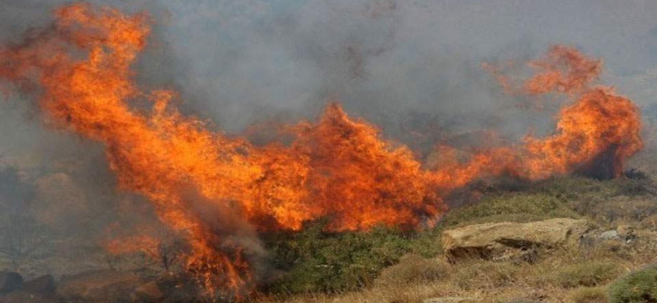 Ηλεία: Φωτιά σε δασική έκταση στο Γραμματικό