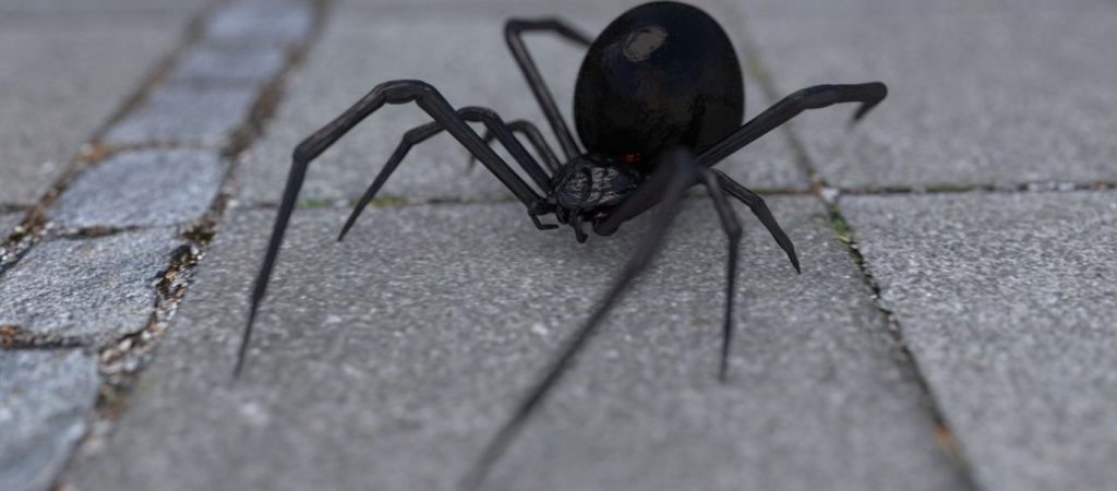 «Μαύρη χήρα»: Στη ΜΕΘ νοσηλεύεται το βρέφος από την Πάτρα – Τι λέει η γυναίκα που τσιμπήθηκε