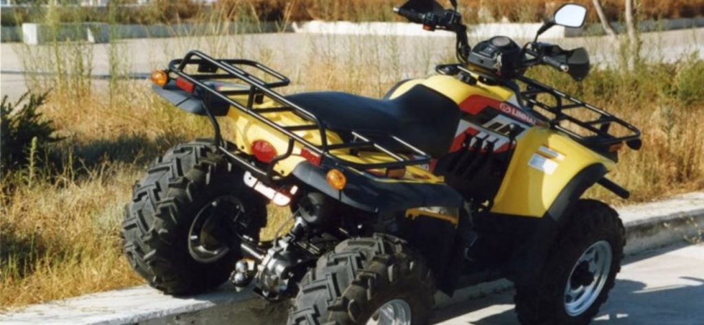 Τρίκαλα: Τροχαίο με γουρούνα που έπεσε στο ποτάμι – Στο νοσοκομείο ο οδηγός