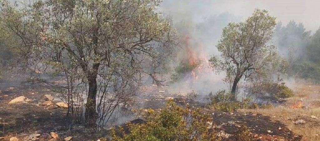 Φωτιά στο Πόρτο Γερμενό: Δύο συλλήψεις για εμπρησμό