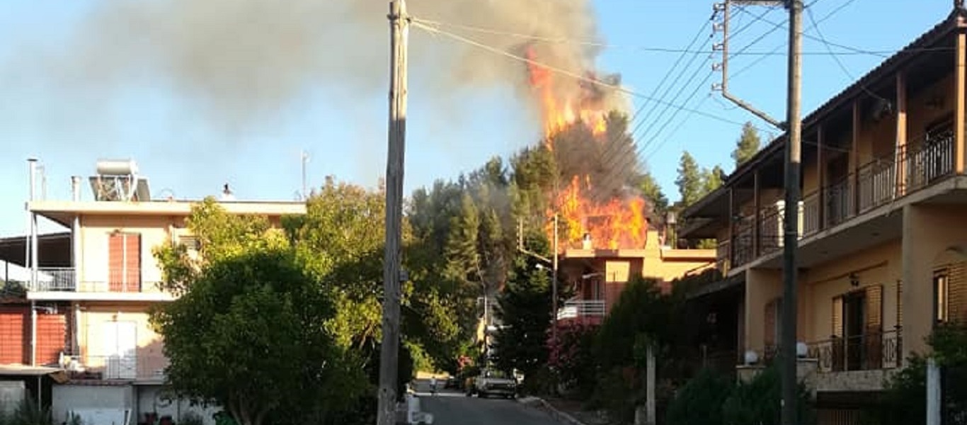 Ηλεία: Ξέσπασε πυρκαγιά και στα Καλυβάκια Κρεστένων (φώτο)