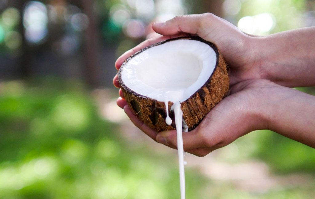 Καρύδα: Πέντε οφέλη που έχει για τον οργανισμό σας που σίγουρα δεν γνωρίζατε