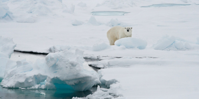 Νορβηγία: Ρεκόρ ζέστης στο αρχιπέλαγος Σβάλμπαρντ – Στους 22 βαθμούς η θερμοκρασία!
