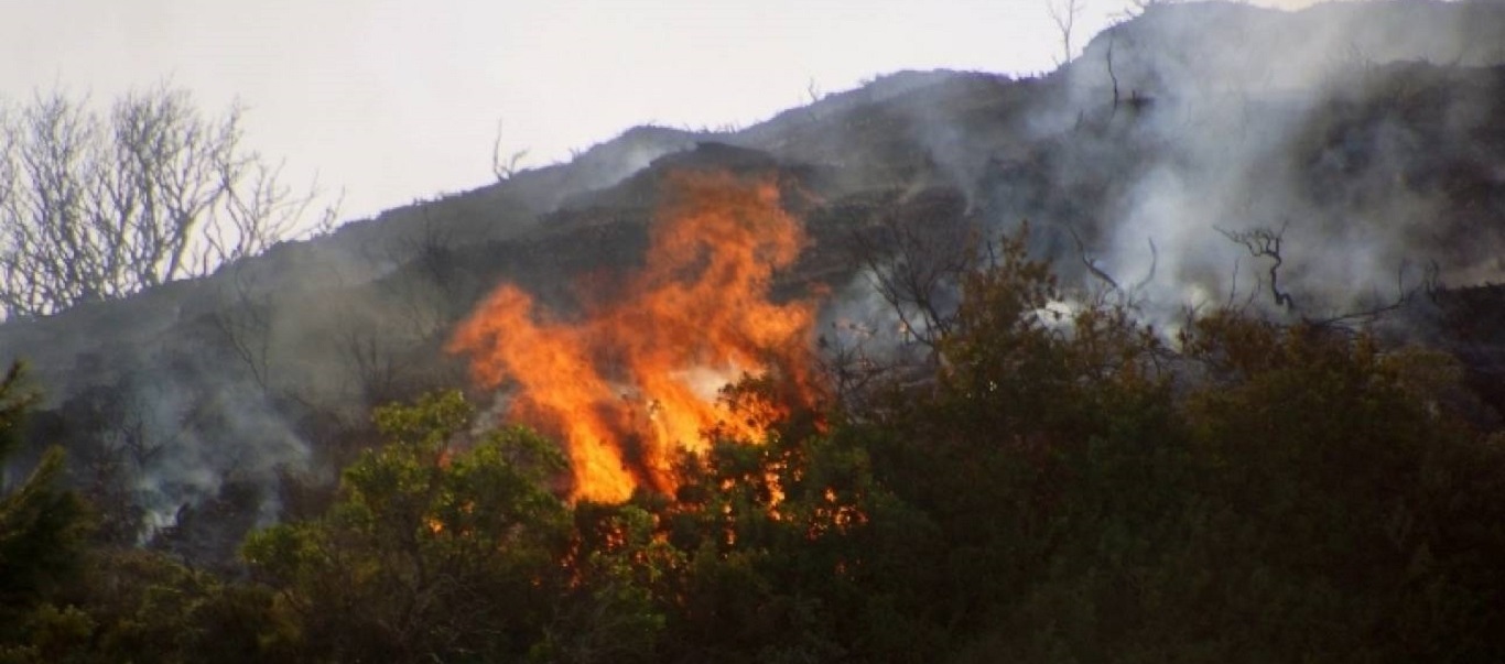 Πυροσβεστική: 62 δασικές πυρκαγιές εκδηλώθηκαν το τελευταίο 24ωρο