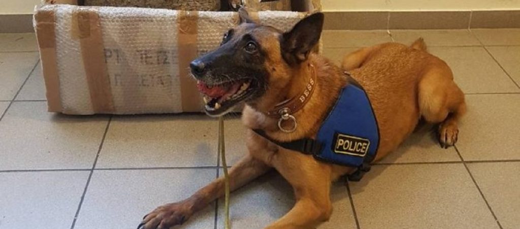 Υψηλός ο κίνδυνος πυρκαγιάς και αύριο – Δείτε τον χάρτη (φώτο)