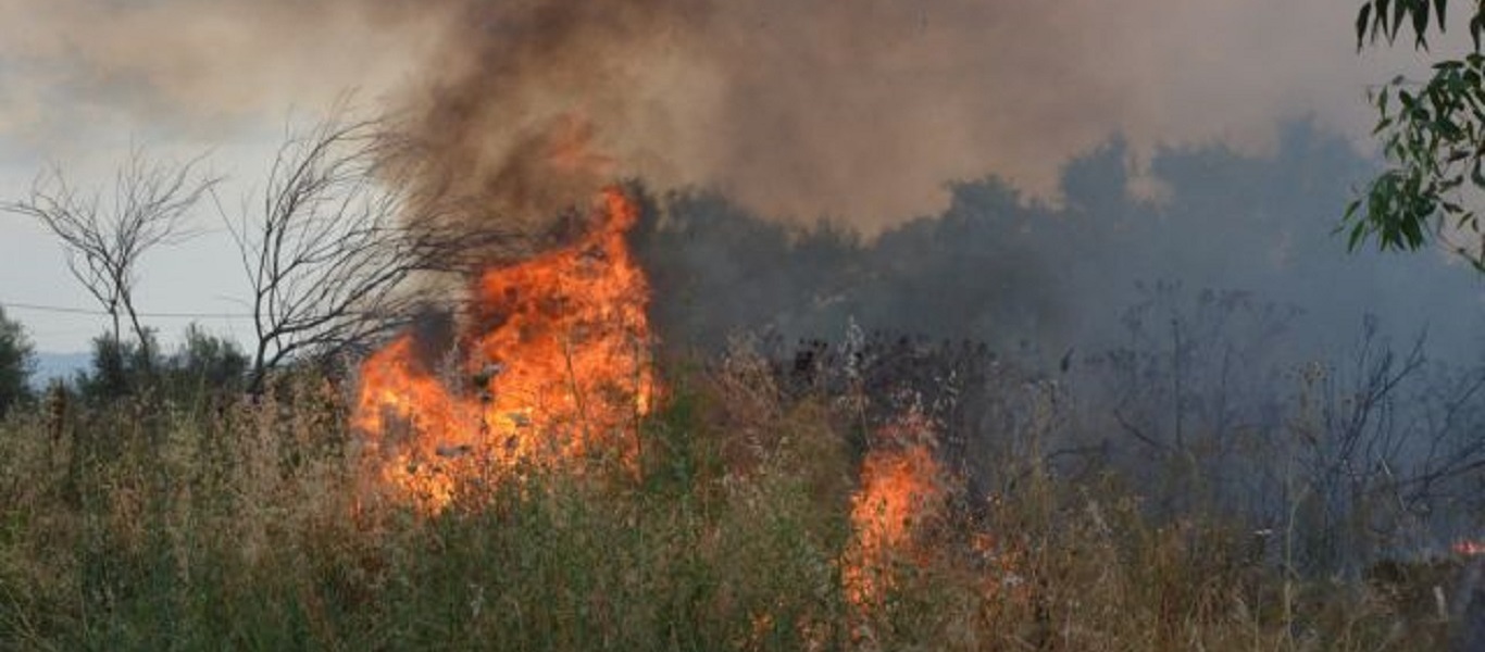 Βοιωτία: Φωτιά και στις Θεσπιές – Άμεση η κινητοποίηση της πυροσβεστικής