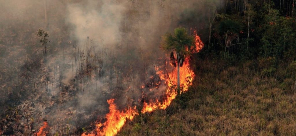 Ρεκόρ πυρκαγιών τον Ιούλιο στον Αμαζόνιο – 1.669 εστίες φωτιάς συνολικά