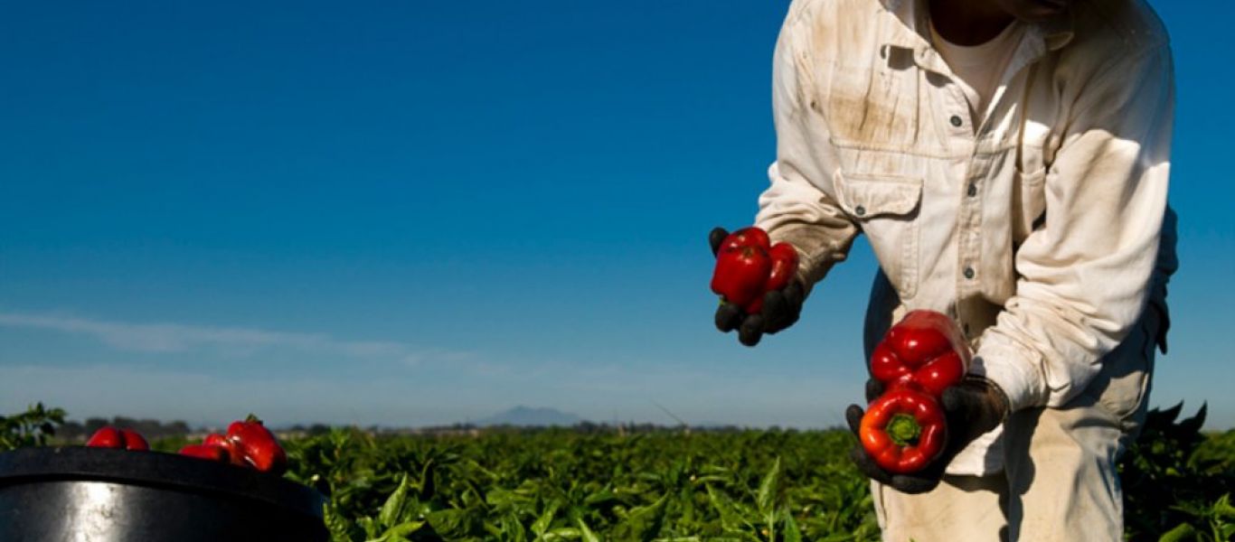 Υπ. Αγροτικής Ανάπτυξης: Παρατείνεται η άδεια παραμονής μετακλητών εργατών γης
