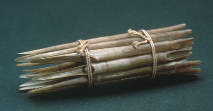 chlasrlarlkffoorstrttrer6