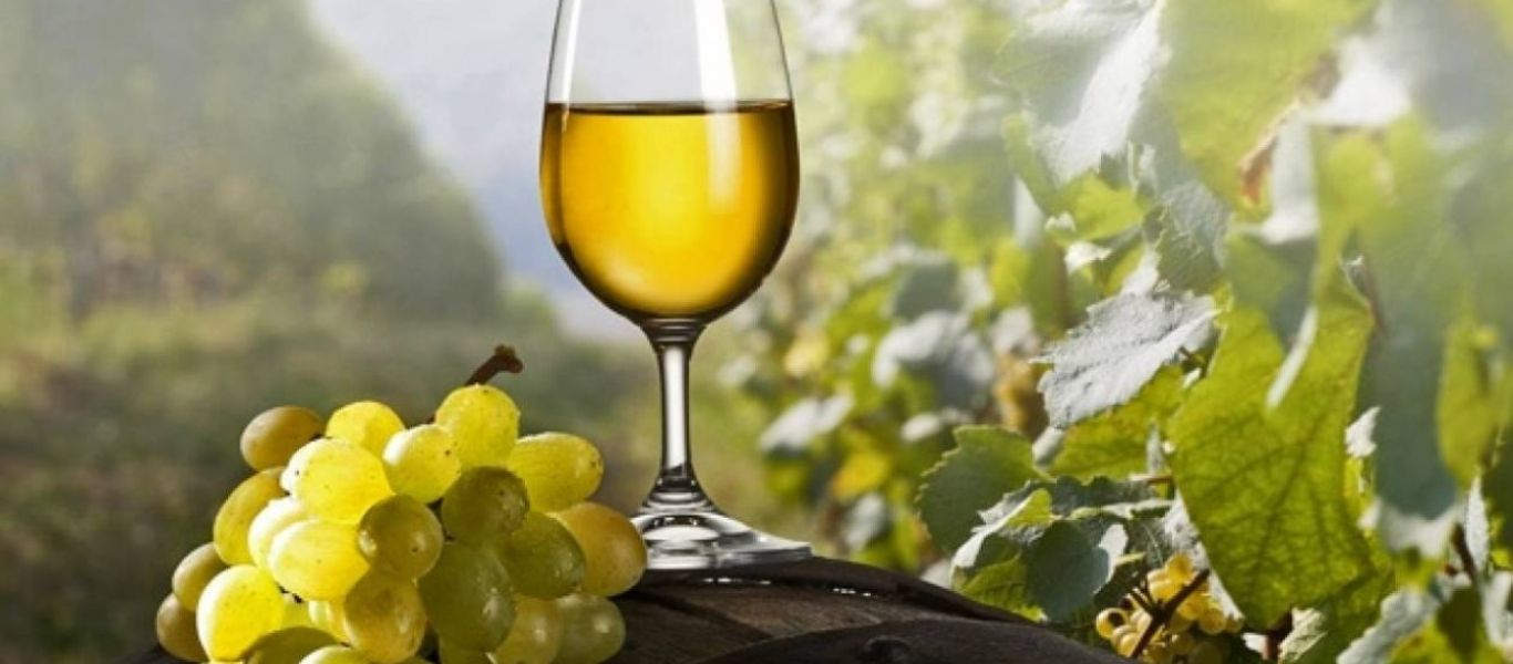 Δυναμική επιστροφή για το ελληνικό κρασί στις αγορές σύμφωνα με τα γερμανικά ΜΜΕ