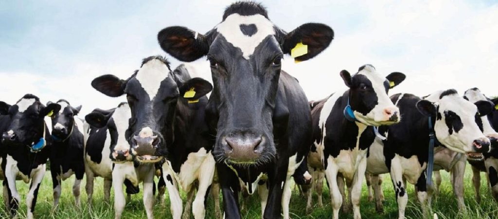 Γυναίκα έκανε το λάθος να κοιμηθεί δίπλα σε ποτάμι – Άνοιξε τα μάτια της και δεν πίστευε αυτό που αντίκρισε (βίντεο)