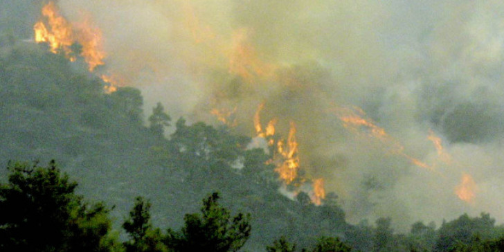 Κύπρος: Μεγάλη πυρκαγιά – Iσχυρές δυνάμεις της Πυροσβεστικής στο σημείο (βίντεο)