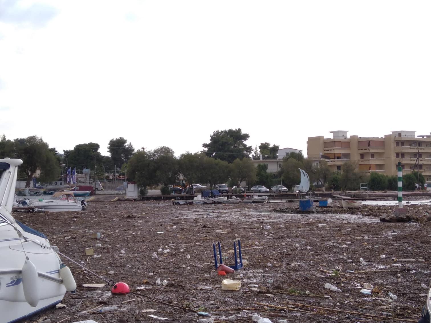 Εικόνες από τσουνάμι σε Χαλκούτσι & Δήλεσι: Ξεβράστηκαν ζώα και σκουπίδια – Αυτοψία του pronews.gr (φωτό-βίντεο)