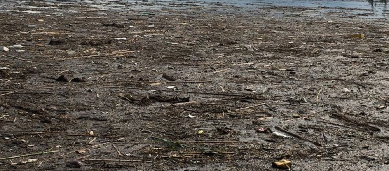 Κακοκαιρία «Θάλεια»: Η παραλία στο Δήλεσι μετατράπηκε σε… χωματερή (βίντεο-φώτο)