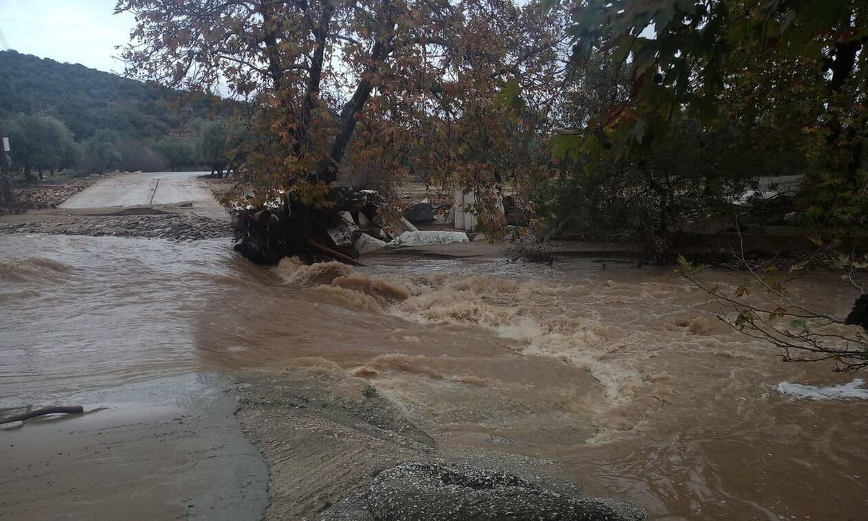 Μια νεκρή στην Εύβοια από το χτύπημα της «Θάλειας» – Δρόμοι και σπίτια έχουν πλημμυρίσει (φωτό, βίντεο) (upd)