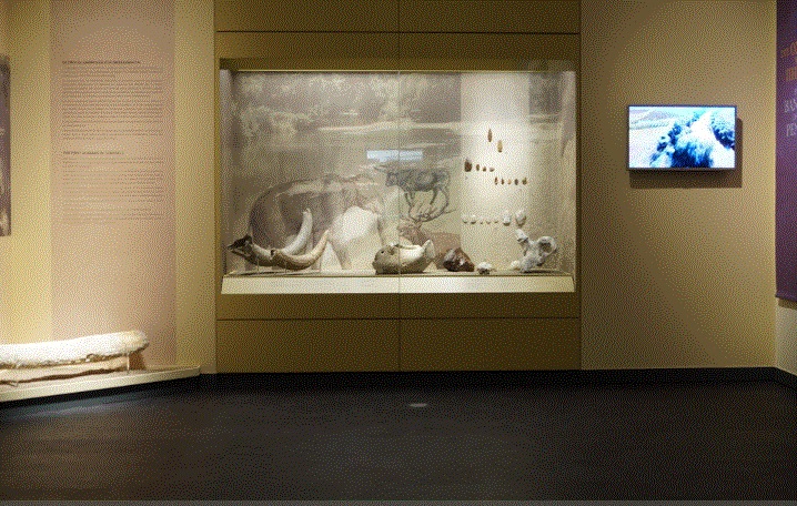 Λάρισα: Στον Πηνειό ζούσαν κάποτε ελέφαντες, ιπποπόταμοι και ρινόκεροι