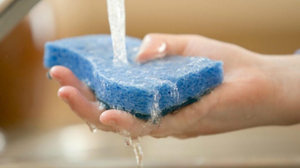 Αυτός είναι ο λόγος που πρέπει να βάζεις τα σφουγγαράκια της κουζίνας στον φούρνο μικροκυμάτων