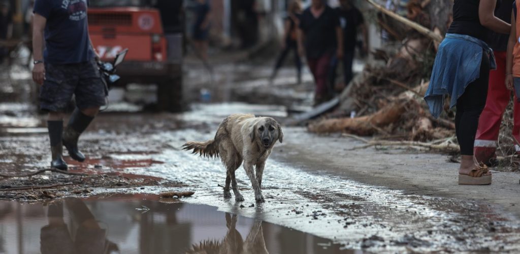Υπ.Εσωτερικών: Τα πρώτα μέτρα για τους πληγέντες της θεομηνίας στην Εύβοια