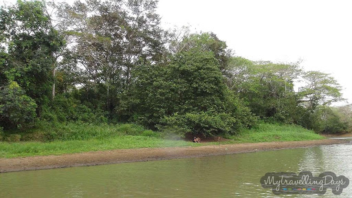 Παναμάς: 11μελής οικογένεια έχασε τη ζωή της την ώρα που κοιμόταν – Παρασύρθηκε από ποτάμι