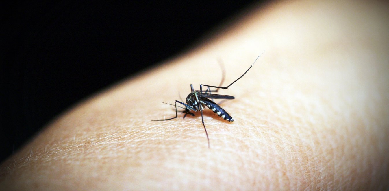 ΕΟΔΥ: Νέο κρούσμα του ιού του Δυτικού Νείλου στη Λάρισα