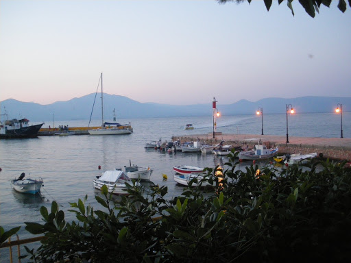 Μεγάλη ταλαιπωρία για τους οδηγούς στο λιμάνι του Ωρωπού – Ουρές χιλιομέτρων για να περάσουν στην Εύβοια (φωτο)