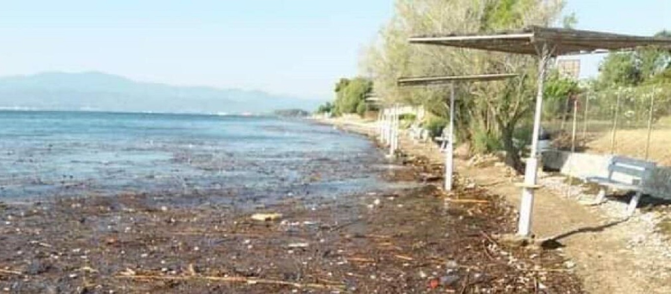 Ερέτρια: Ακατάλληλη για μπάνιο η παραλία – Έχει γεμίσει φερτά υλικά (φώτο)