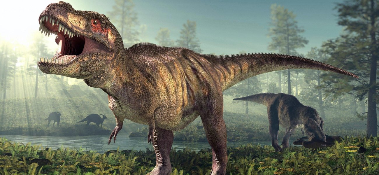 Απίστευτο: Δεν μπορείτε να φανταστείτε τους κοντινότερους συγγενείς του τυραννόσαυρου
