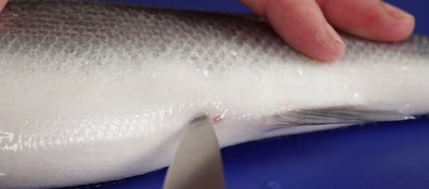 Με αυτό το αρχαίο ιαπωνικό κόλπο το καθάρισμα των ψαριών γίνεται «παιχνιδάκι» (βίντεο)