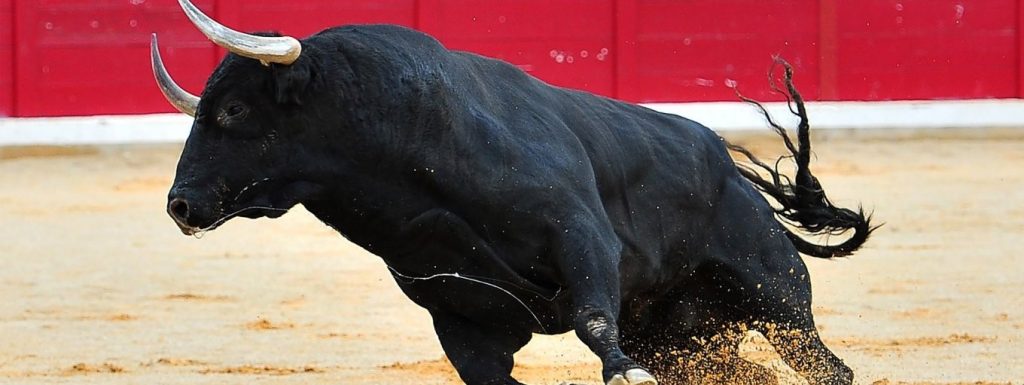 Ινδία: Μαινόμενος ταύρος κάρφωσε μικρό αγόρι και το έσωσε ο αδερφός του με κλωτσιές (βίντεο)