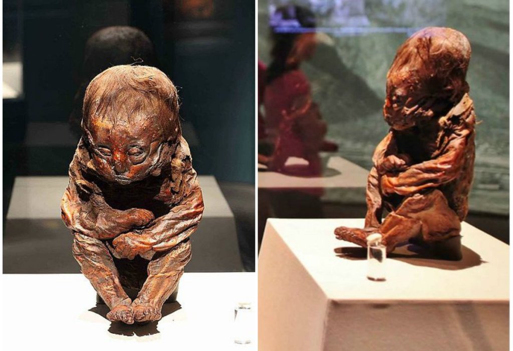 Οι μύθοι του Ηροδότου που τελικά δεν ήταν μύθοι… Διαβάστε γιατί