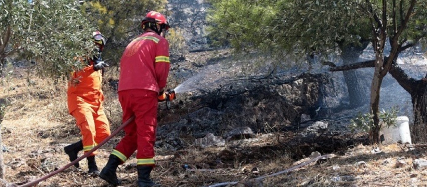 Φωτιά στην Κρήτη: Συνελήφθη ένας άνδρας για εμπρησμό