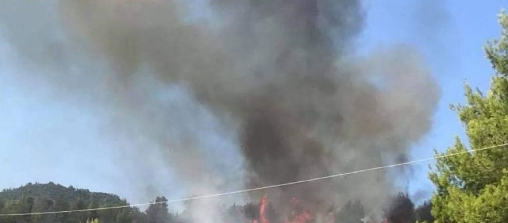 Εύβοια: Υπό έλεγχο η φωτιά στις Ροβιές (upd)