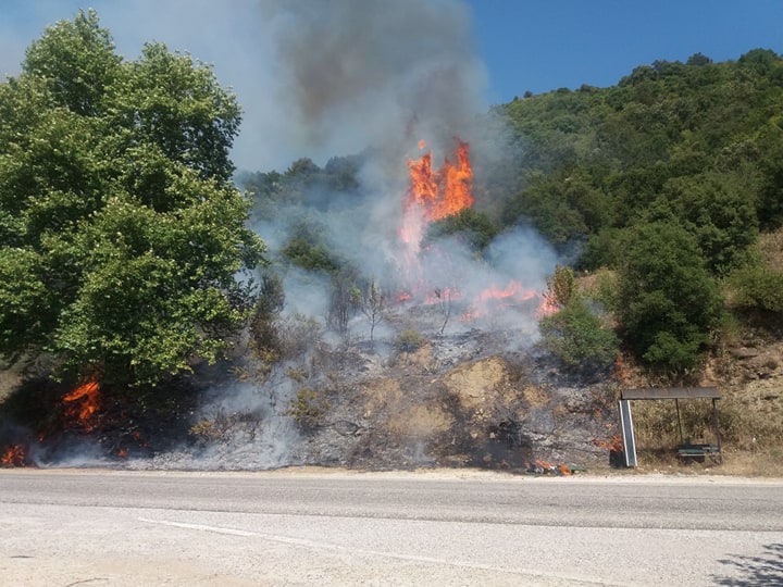 Πυρκαγιά στα Φραγκουλέικα Αιτωλοακαρνανίας