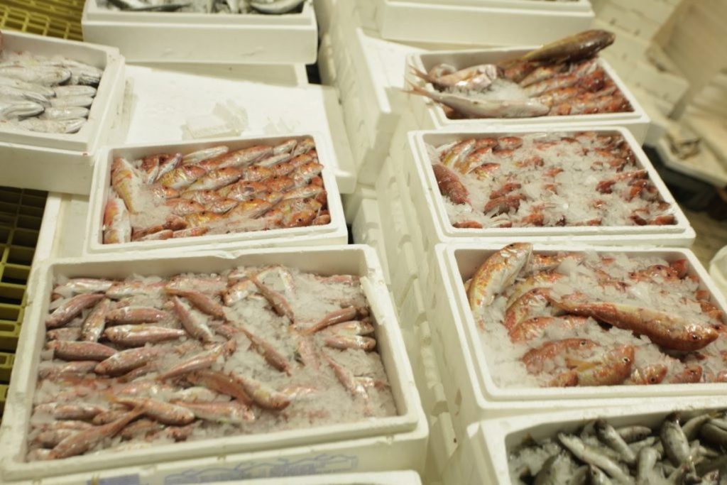 Κατασχέθηκαν πάνω από 100 κιλά ψάρια στην Ιχθυόσκαλα Νέας Μηχανιώνας