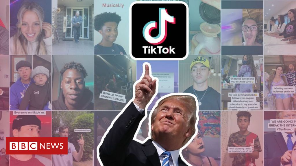 «Πράσινο φως» από Ν.Τραμπ για αγορά του TikTok από την αμερικανική Oracle