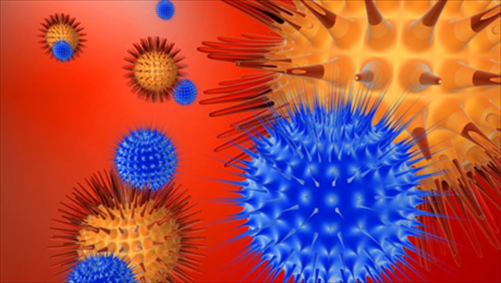 Με αυτές τις δέκα «μαγικές» τροφές θα ενισχύσετε το ανοσοποιητικό σας σύστημα