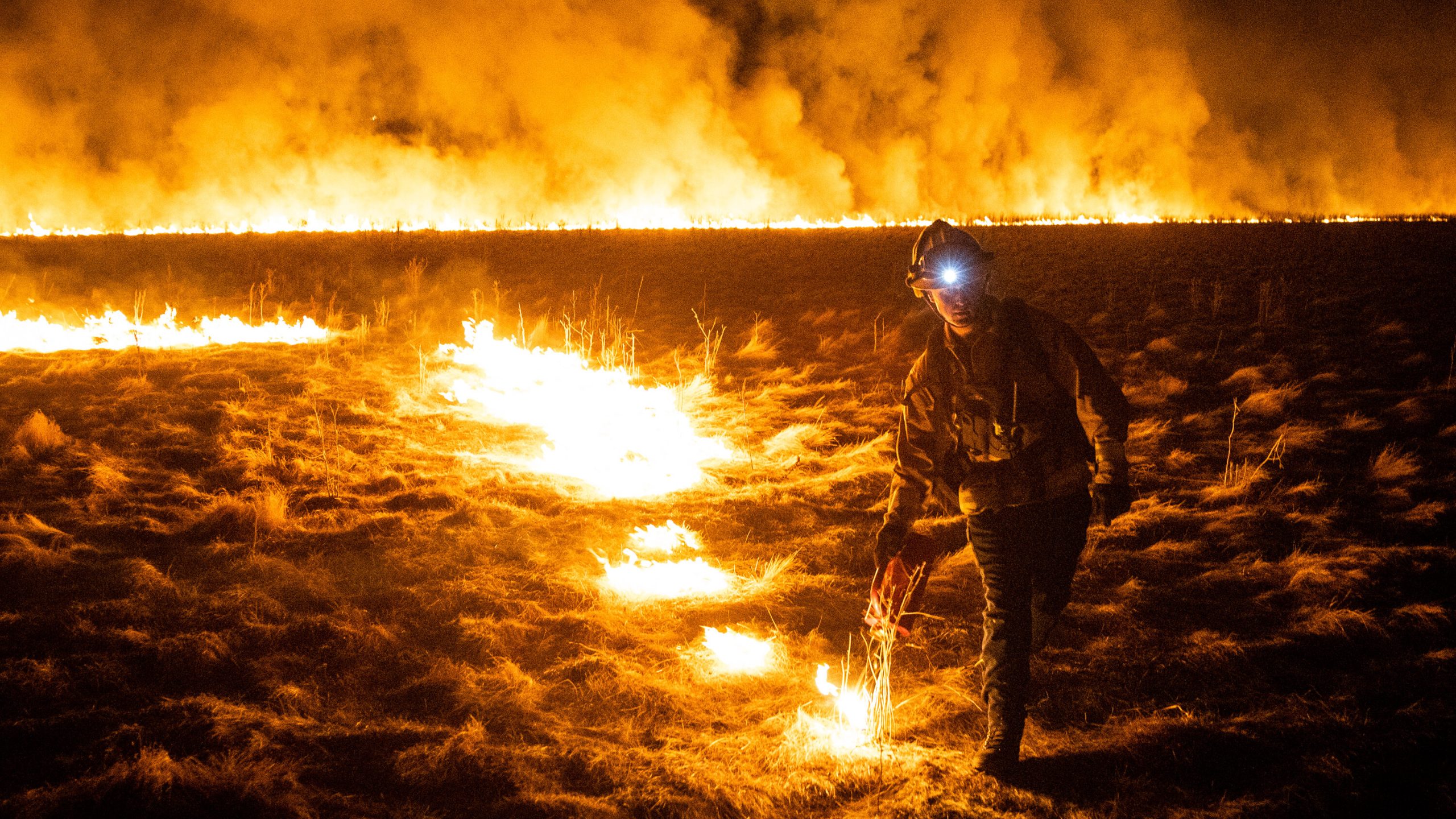 Δύο νεκροί από τις πυρκαγιές στην Καλιφόρνια – Εκατοντάδες σπίτια έγιναν στάχτη