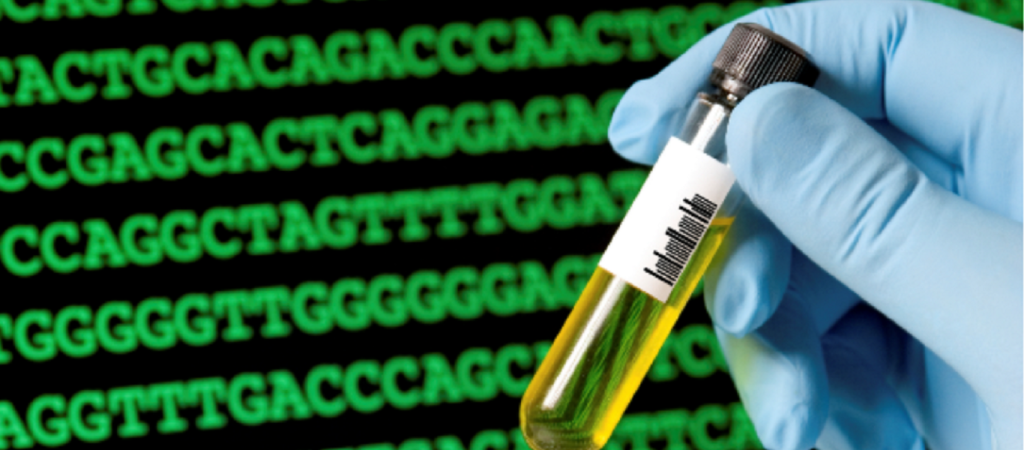 Ξεκινά η διαδικασία ταυτοποίησης οστών των πεσόντων του Αλβανικού Έπους