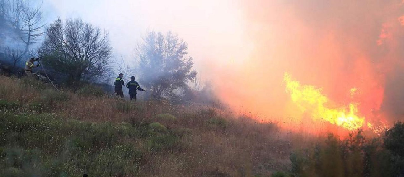 Φθιώτιδα: Πυρκαγιά έκαψε 30 στρέμματα πριν την οριοθετήσει η πυροσβεστική