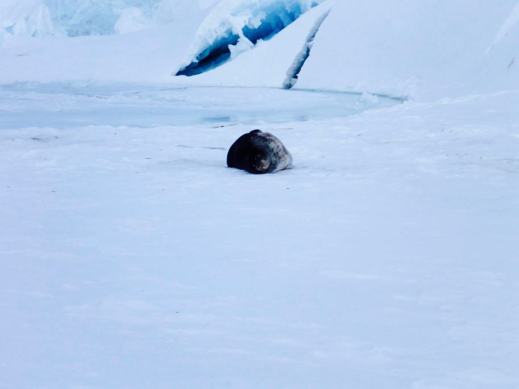 H NASA έστειλε σε Έλληνα επιστήμονα μετεωρίτη από την Ανταρκτική για να τον μελετήσει