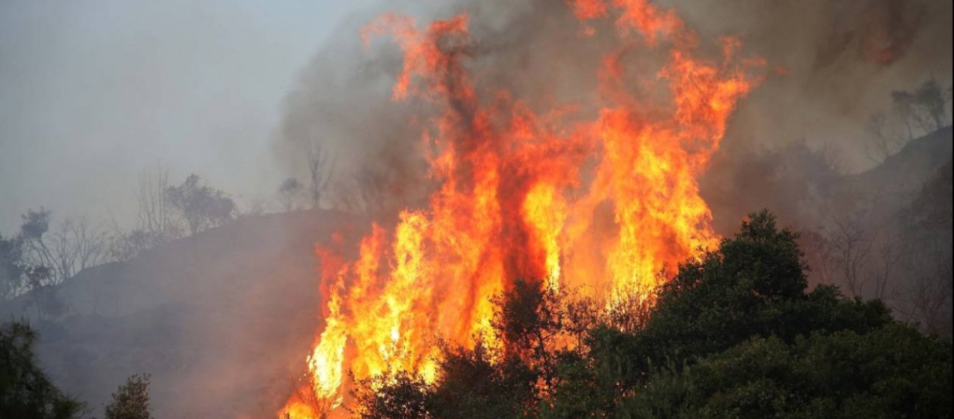 Πυρκαγιά στην Μάνη: Βελτιωμένη η εικόνα από το πύρινο μέτωπο – Σε επιφυλακή η πυροσβεστική (βίντεο)