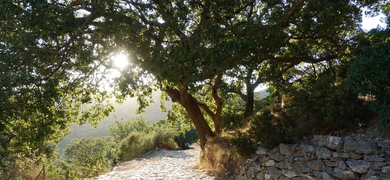 Στις 50 καλύτερες «κρυφές» γωνιές της γης: Το μοναδικό ελληνικό χωριό χωρίς ρεύμα και αμάξια που σταμάτησε το χρόνο