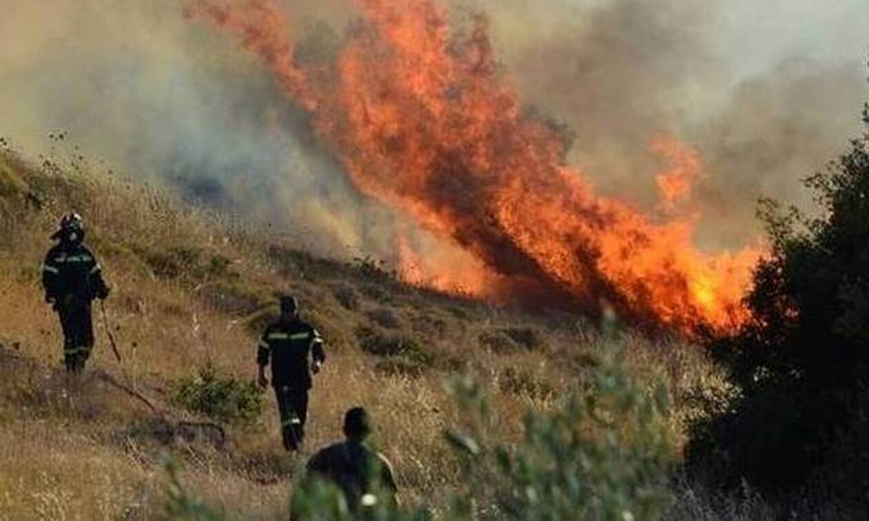 Πυρκαγιά στο χωριό Πλάτρες στην Κύπρο – Εκκενώθηκαν κατοικίες και κατασκήνωση