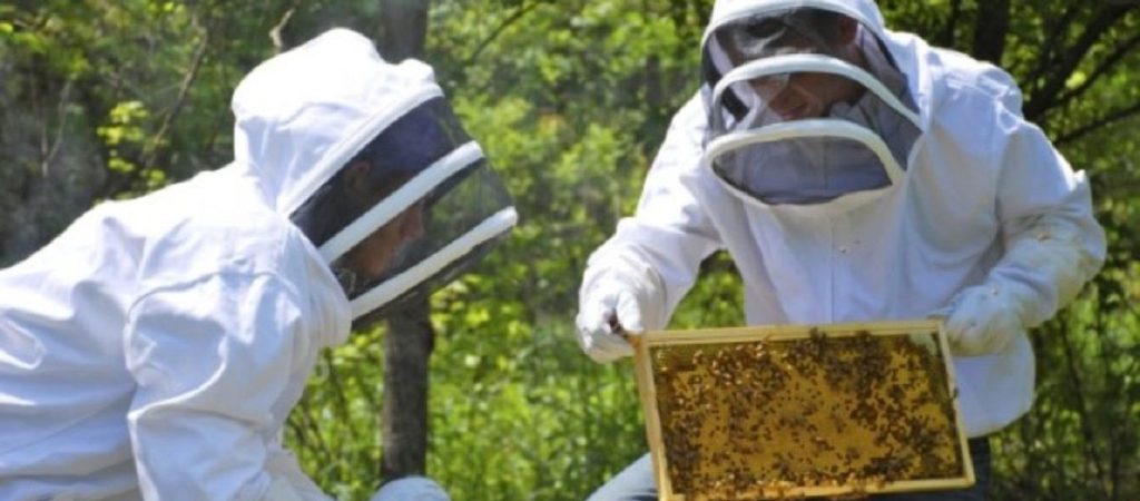 Με 1,8 εκατ. ευρώ θα στηριχθεί η μελισσοκομία στα μικρά νησιά του Αιγαίου